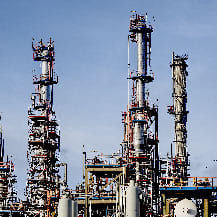 __Invernadero 2017 _ 2018