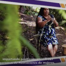 DICIEMBRE_REPORTE SOSTENIBILIDAD_01-12-2022