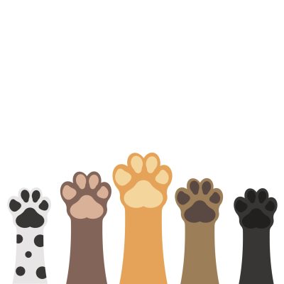 Paws up pets set isolated on white background. Vector illustration.