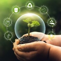 imagen de dos manos sisteniendo una planta en una burbuja transparente y alrededor los icinis de reciclaje