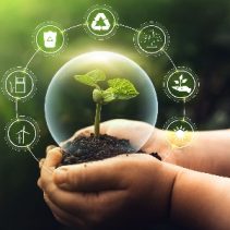 imagen de dos manos sisteniendo una planta en una burbuja transparente y alrededor los icinis de reciclaje